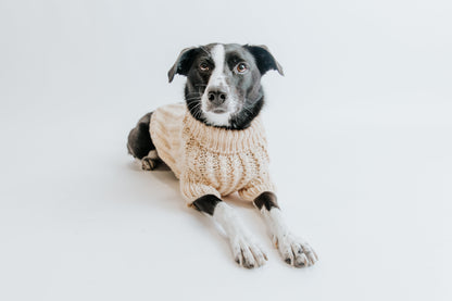 Pet Cable Knit Sweater - Beige