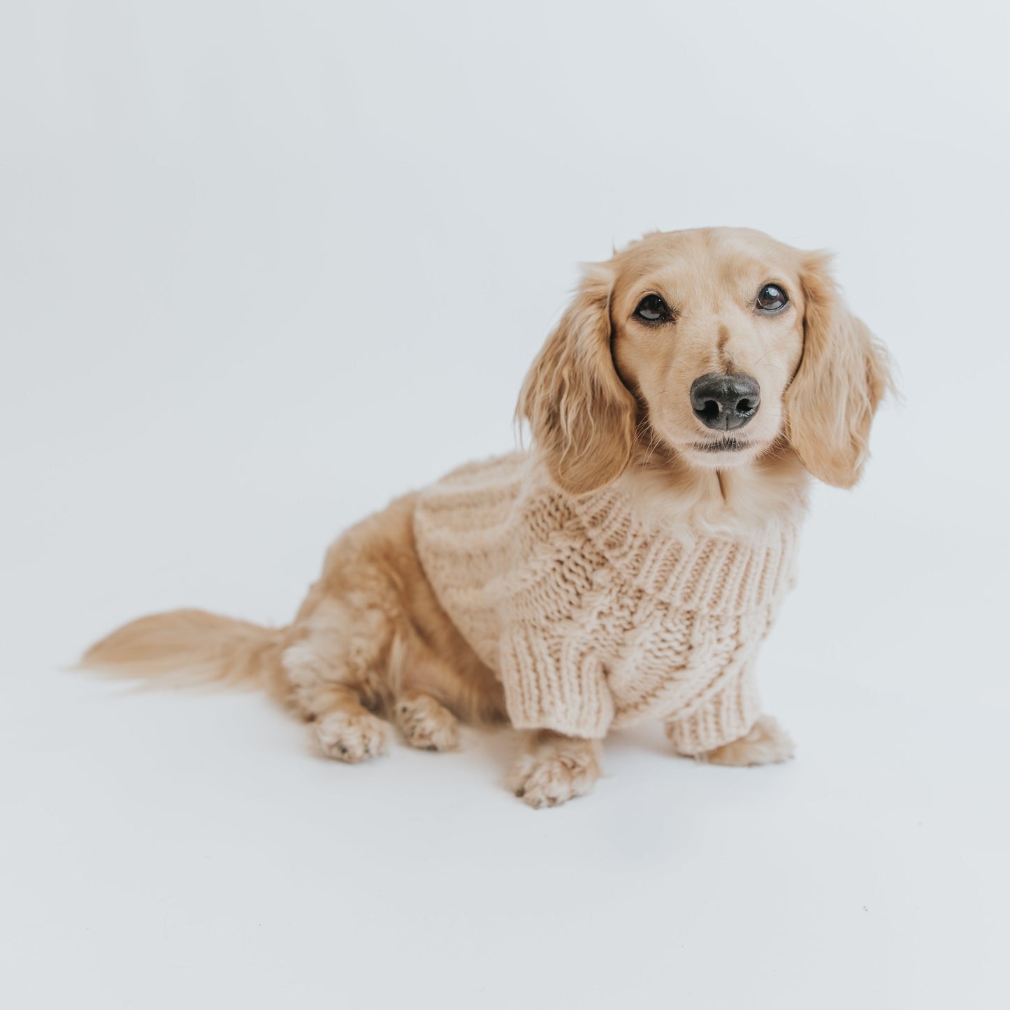 Pet Cable Knit Sweater - Beige