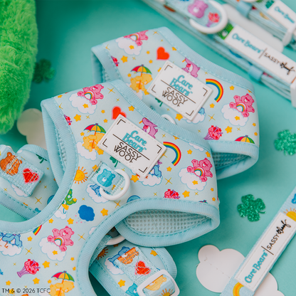Dog Two Piece Bundle - Care Bears™ Care-a-Lot