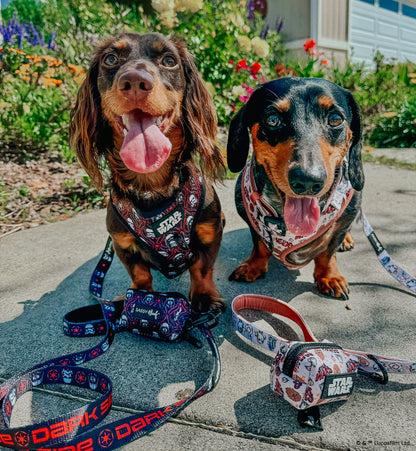 Dog Collar - STAR WARS™ The Dark Side