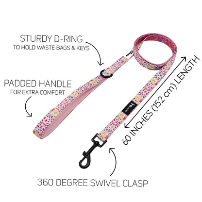 Harness Three Piece Bundle - Disney's Aurora