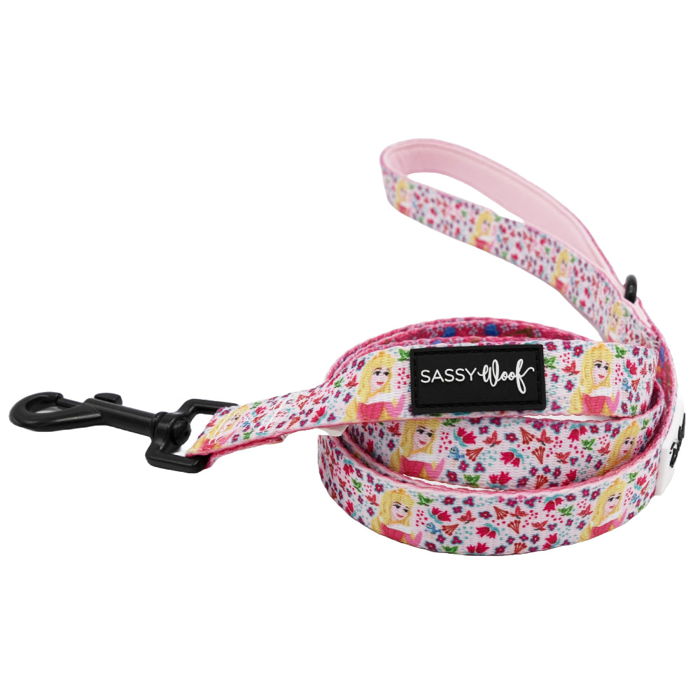 Harness Three Piece Bundle - Disney's Aurora