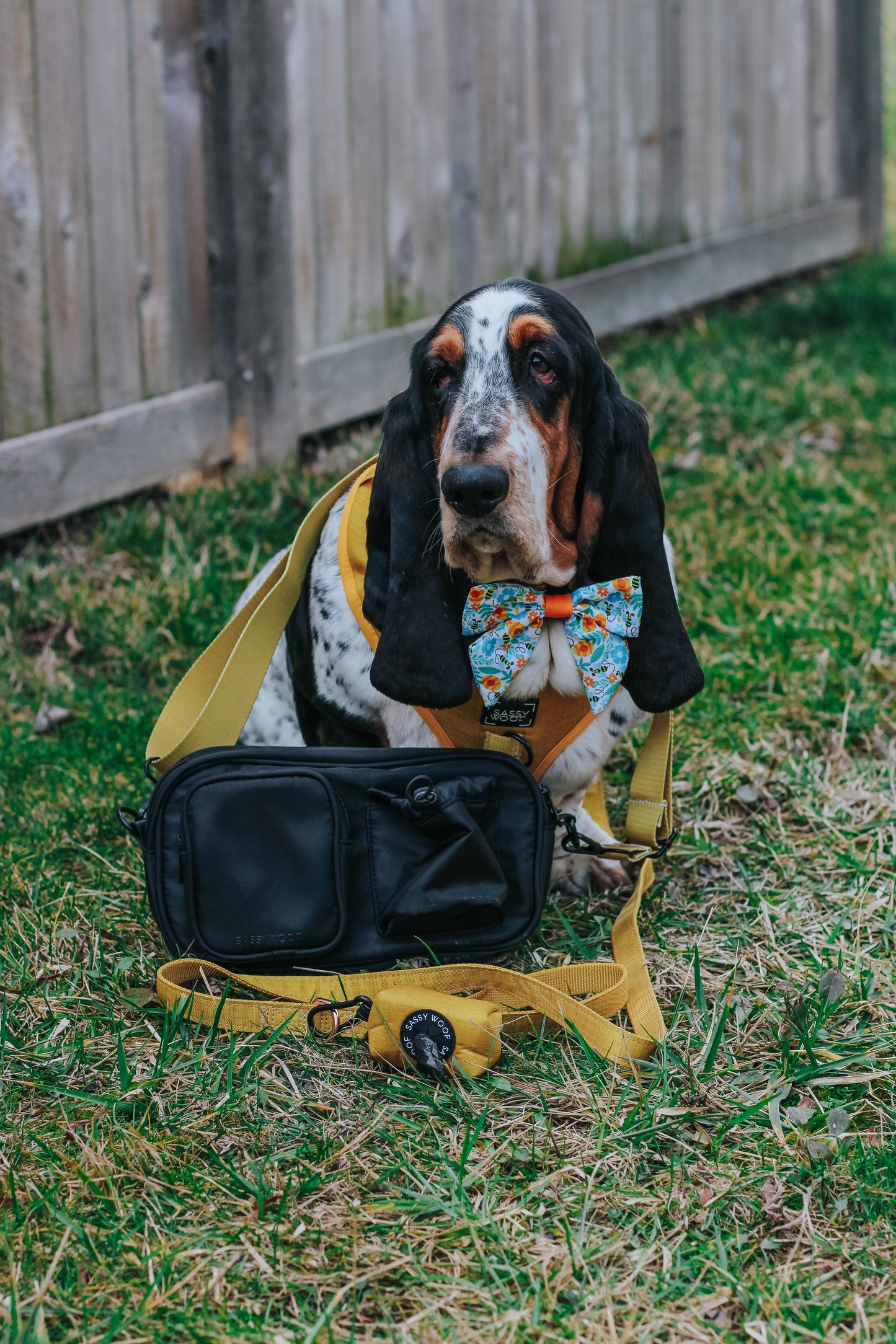 Dog Parent Bag - Strap Only