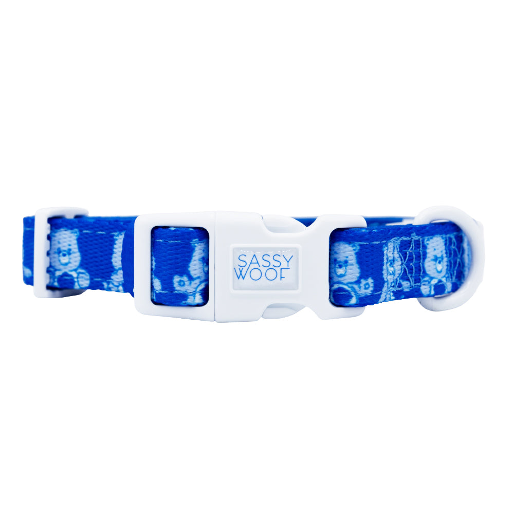 Dog Collar Three Piece Bundle - Care Bears™ Grumpy Bear