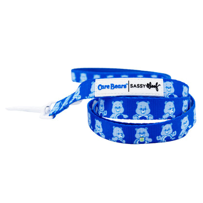 Dog Collar Three Piece Bundle - Care Bears™ Grumpy Bear