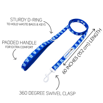Dog Collar Three Piece Bundle - Care Bears™ Grumpy Bear