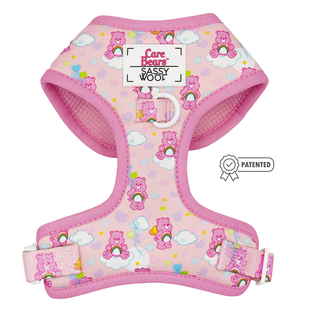 Dog Two Piece Bundle - Care Bears™ Cheer Bear