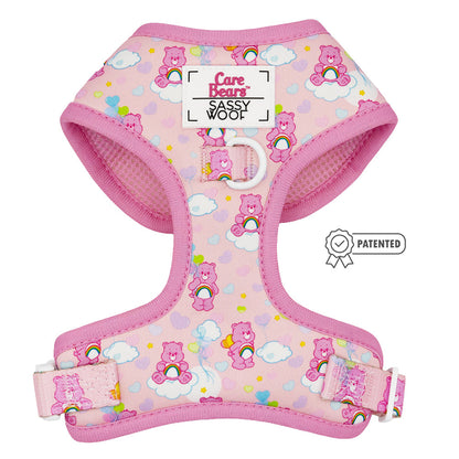 Dog Two Piece Bundle - Care Bears™ Cheer Bear