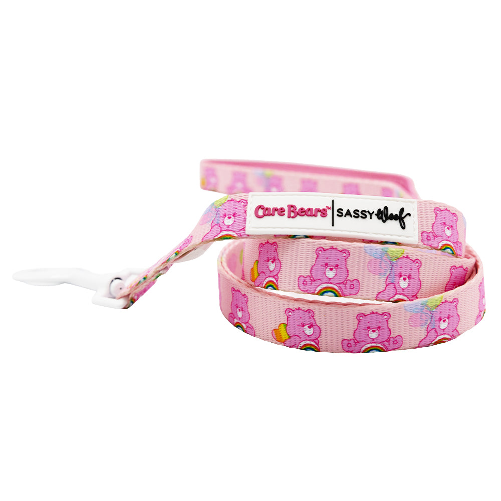 Dog Two Piece Bundle - Care Bears™ Cheer Bear