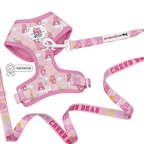 Dog Two Piece Bundle - Care Bears™ Cheer Bear