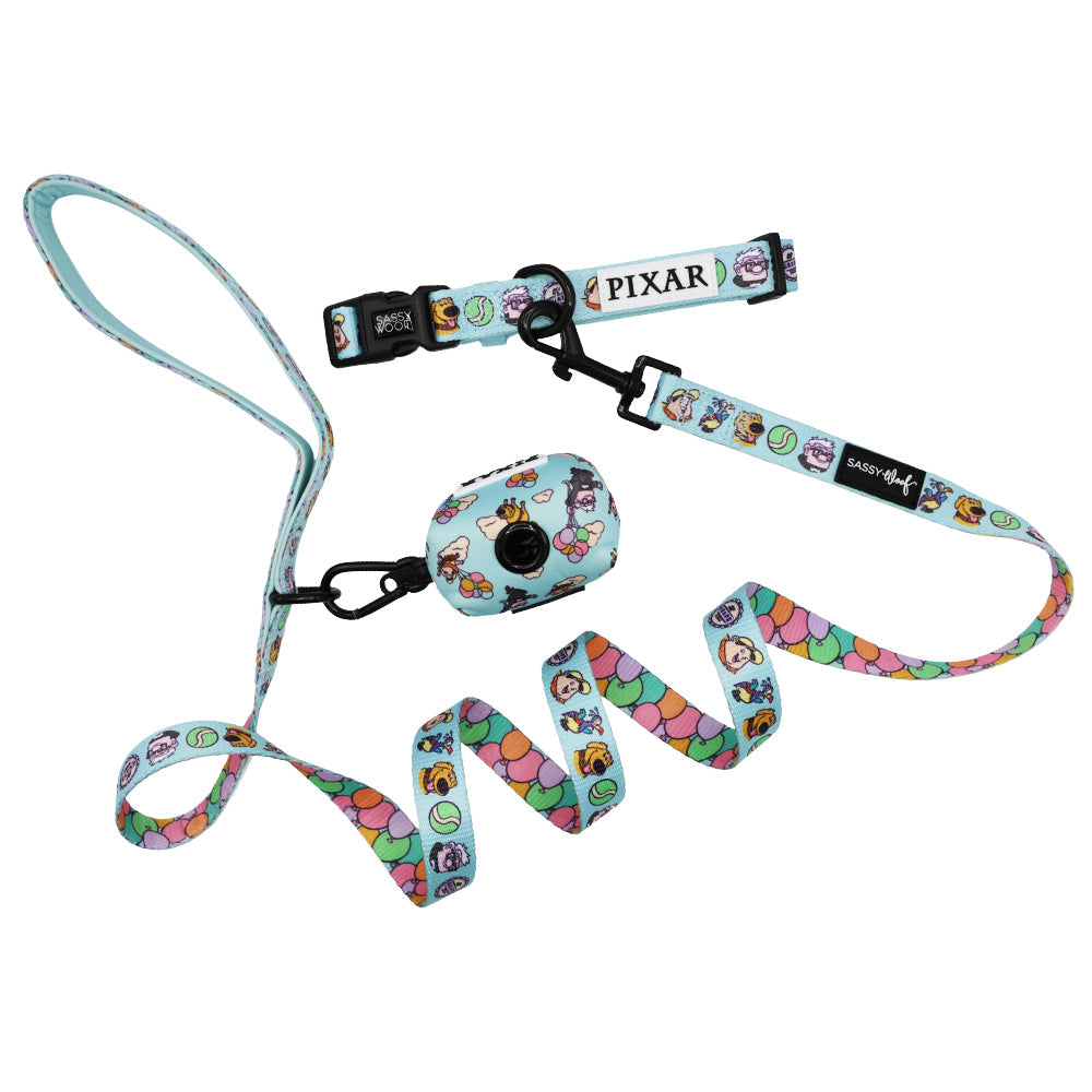 Dog Collar Three Piece Bundle - Disney and Pixar's Up