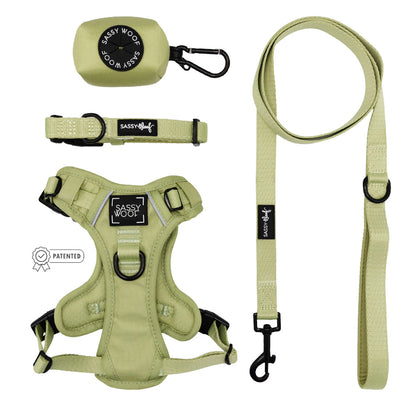 Dog Four Piece Bundle - Matcha