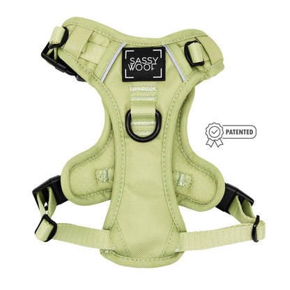 Dog Four Piece Bundle - Matcha