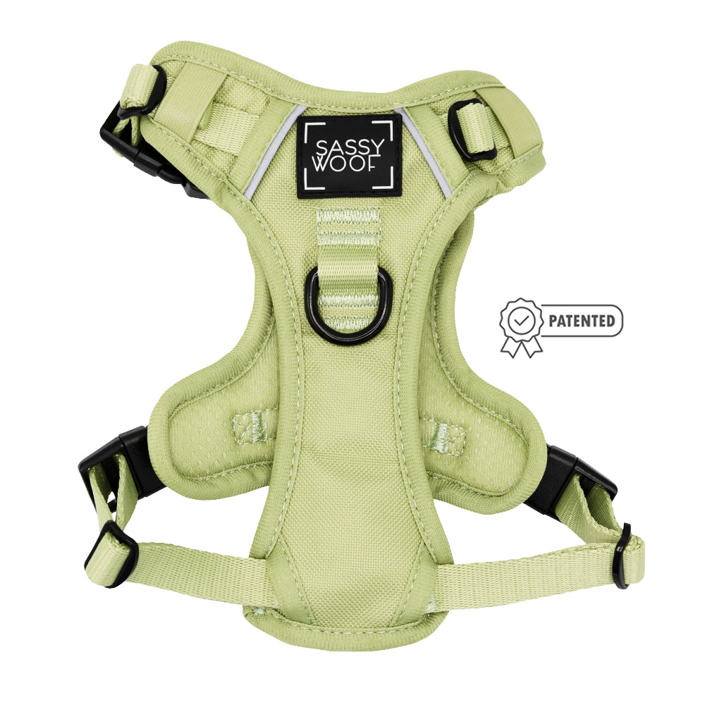 Dog Two Piece Bundle - Matcha