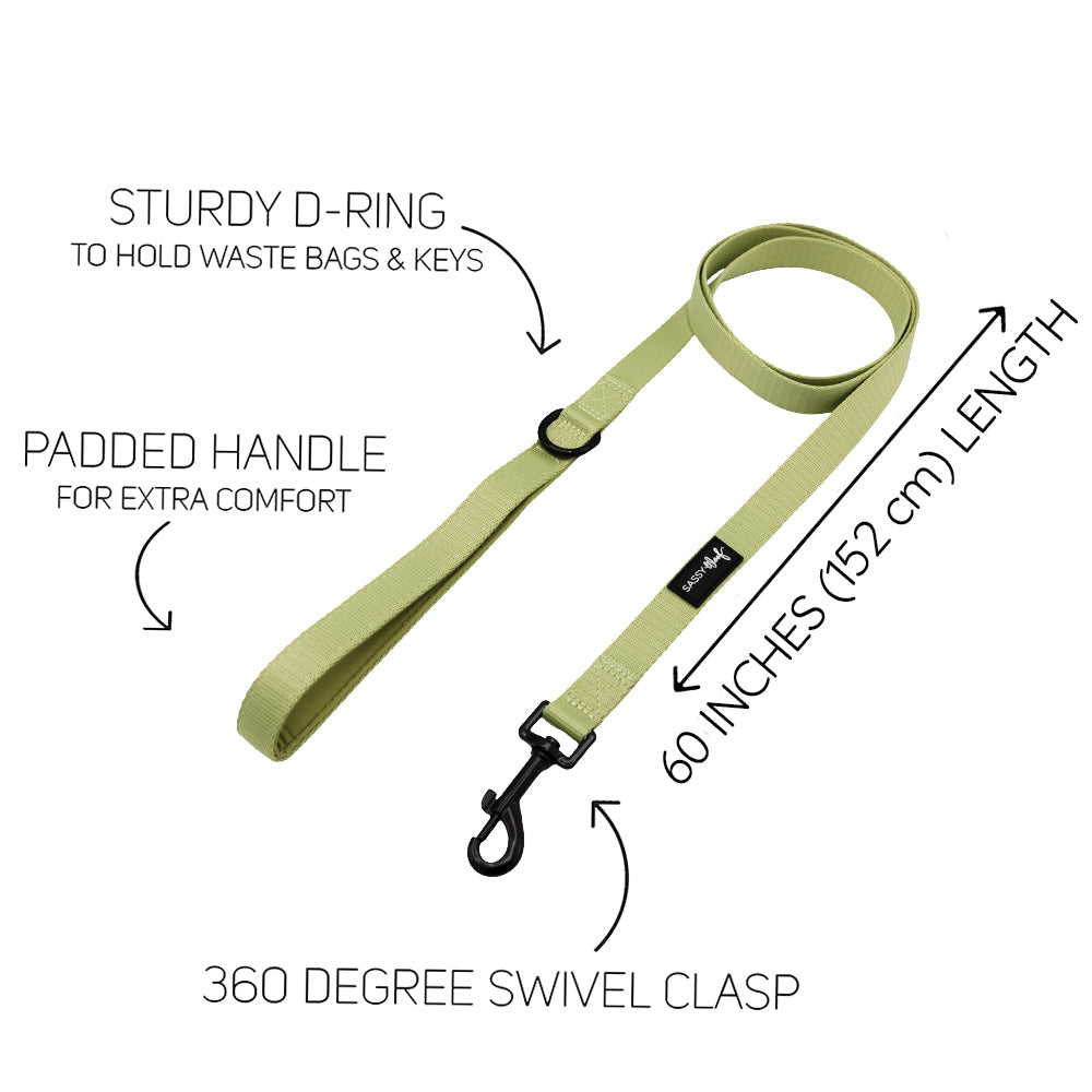 Dog Four Piece Bundle - Matcha