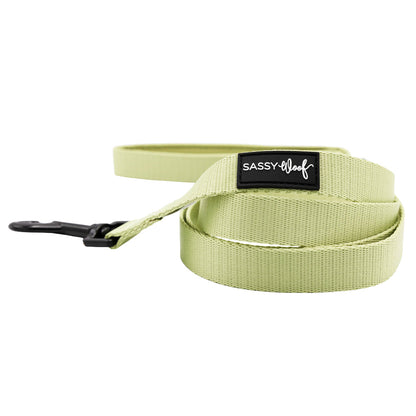 Dog Two Piece Bundle - Matcha