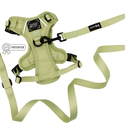 Dog Two Piece Bundle - Matcha