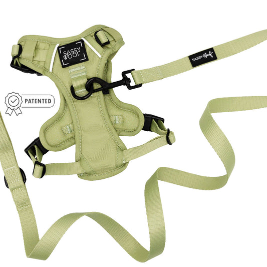 Dog Two Piece Bundle - Matcha