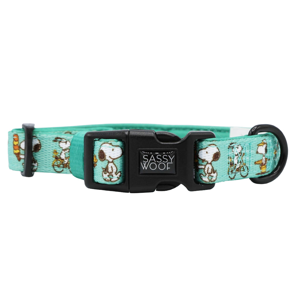 Dog Collar - Peanuts™ Road Tripping