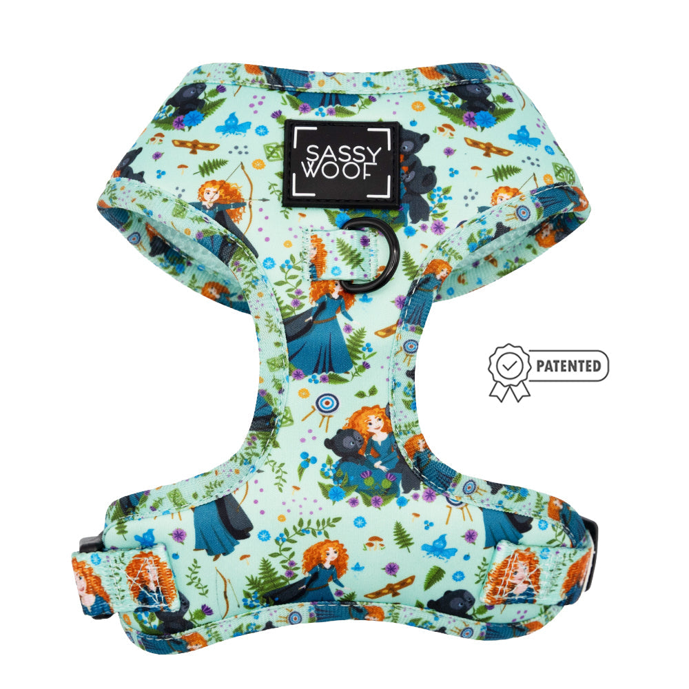 Dog Two Piece Bundle - Disney's Merida