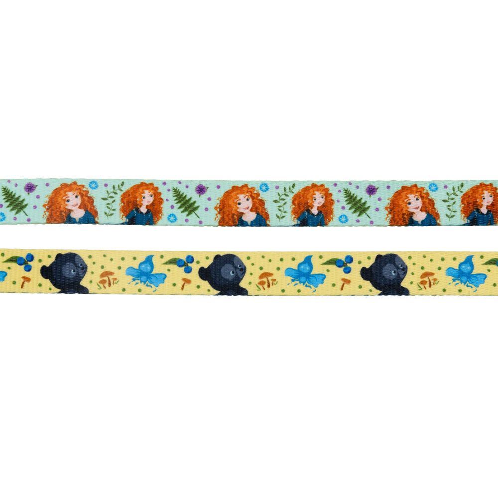 Dog Two Piece Bundle - Disney's Merida