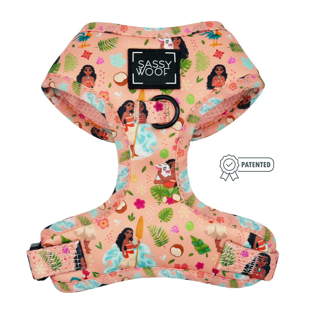 Harness Three Piece Bundle - Disney's Moana