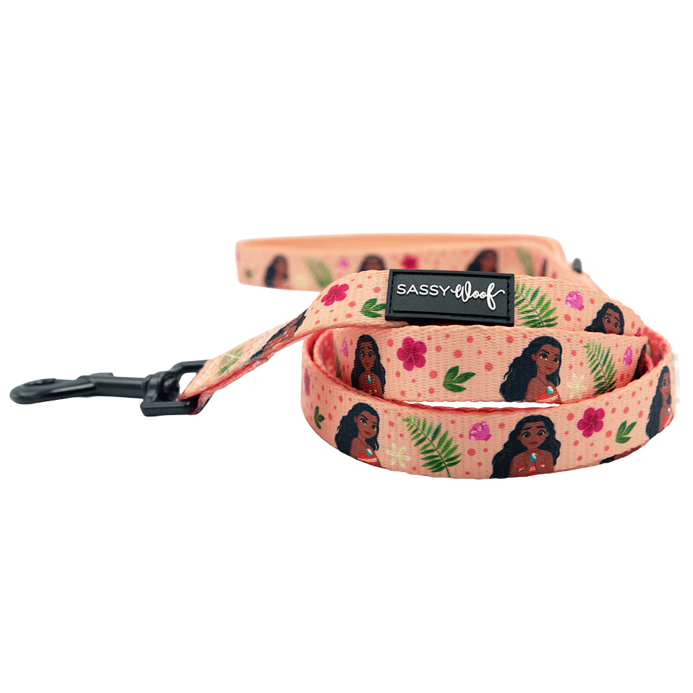 Harness Three Piece Bundle - Disney's Moana