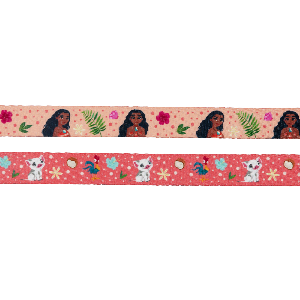 Harness Three Piece Bundle - Disney's Moana