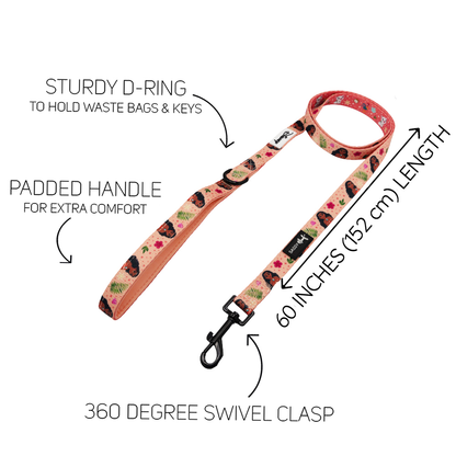 Harness Three Piece Bundle - Disney's Moana