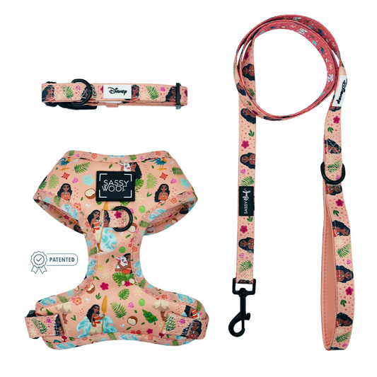 Harness Three Piece Bundle - Disney's Moana