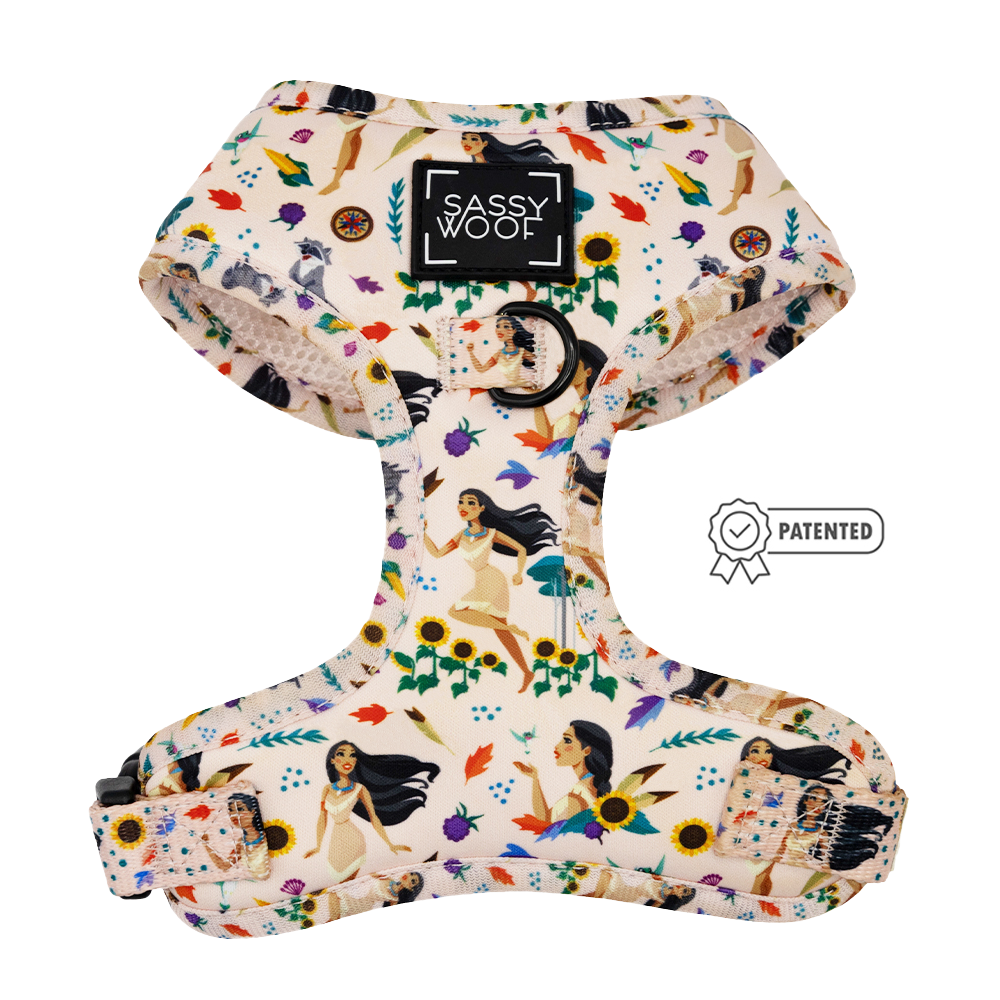 Dog Two Piece Bundle - Disney's Pocahontas