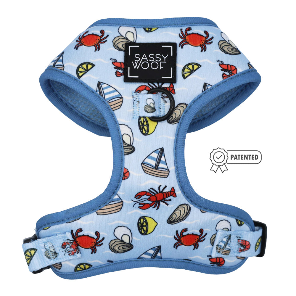 Dog Two Piece Bundle - Coastal Cuties