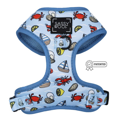 Dog Two Piece Bundle - Coastal Cuties