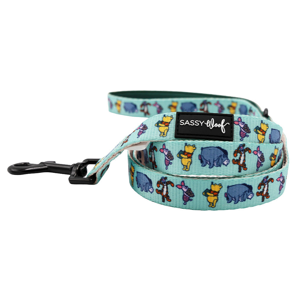 Dog Two Piece Bundle - Disney's Winnie the Pooh
