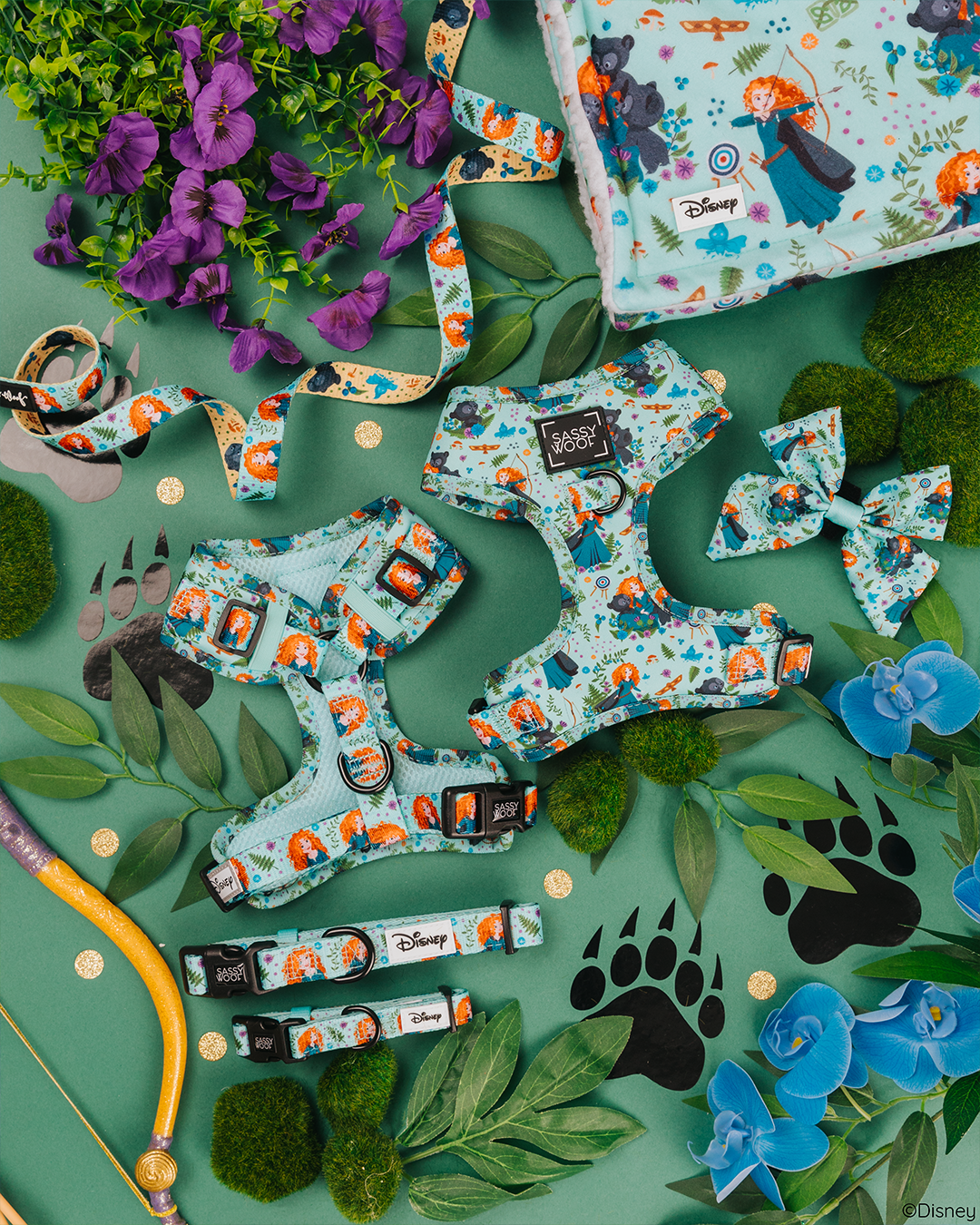 Dog Two Piece Bundle - Disney's Merida