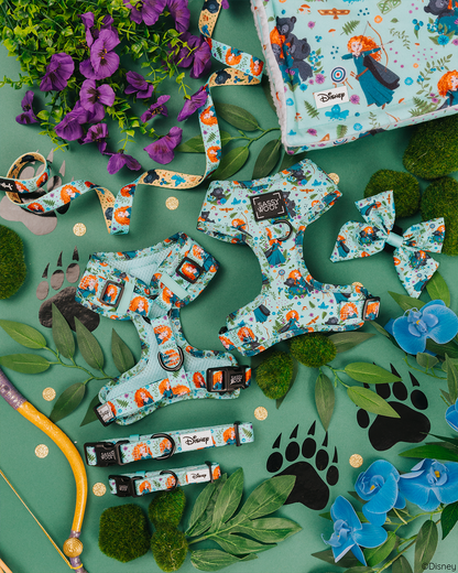 Dog Two Piece Bundle - Disney's Merida