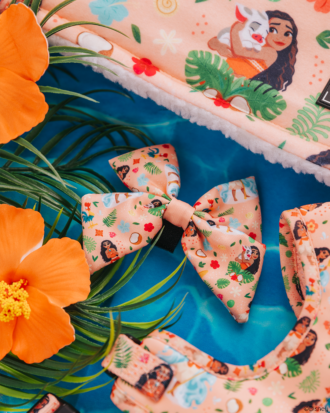 Dog Sailor Bow - Disney's Moana
