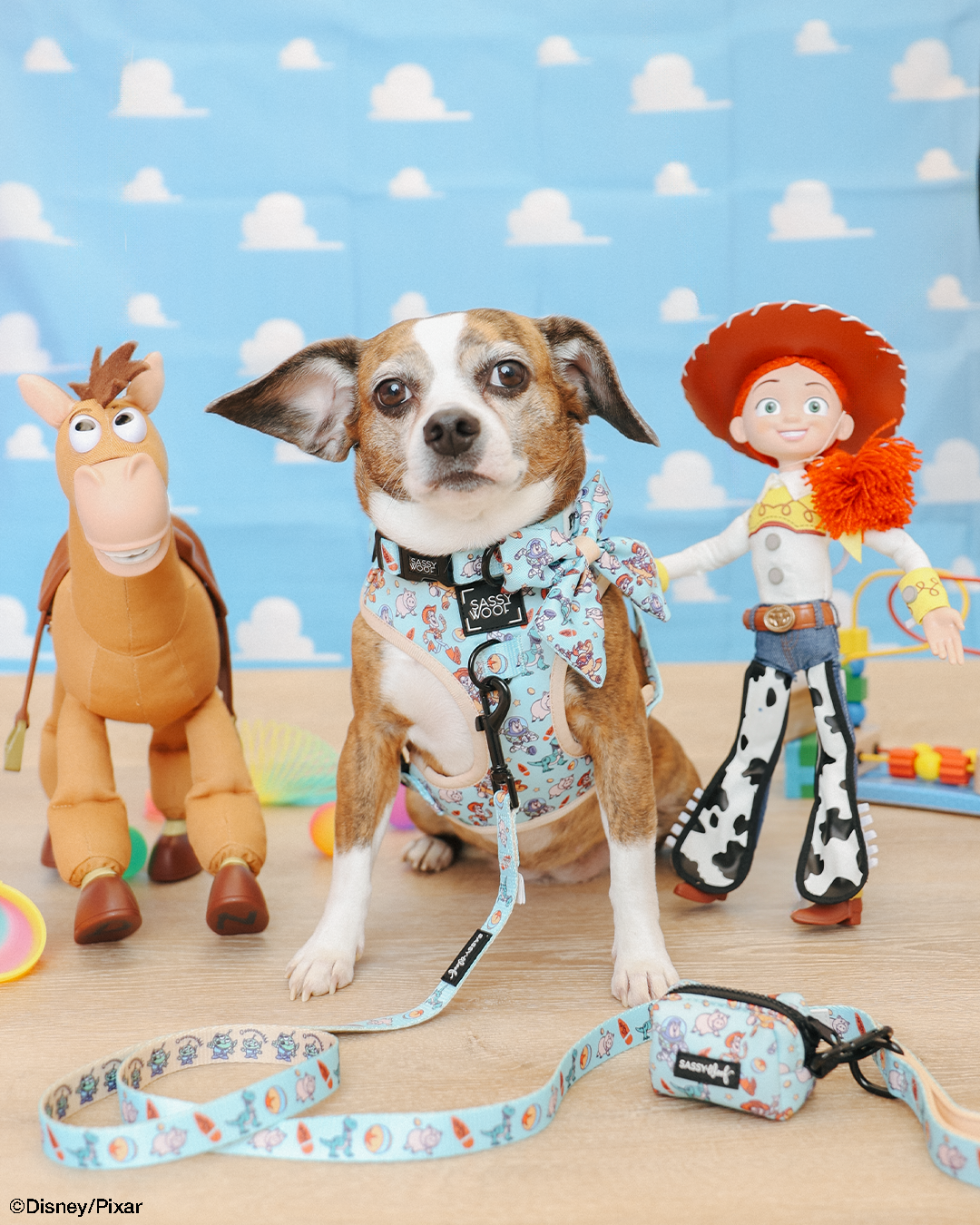 Dog Waste Bag Holder - Disney and Pixar's Toy Story