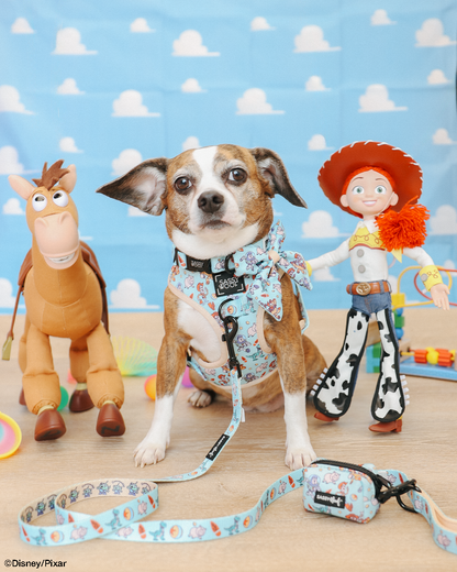 Dog Waste Bag Holder - Disney and Pixar's Toy Story