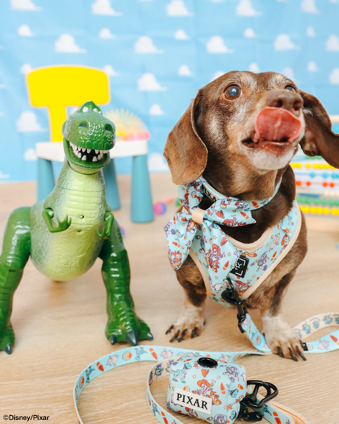 Dog Sailor Bow - Disney and Pixar's Toy Story
