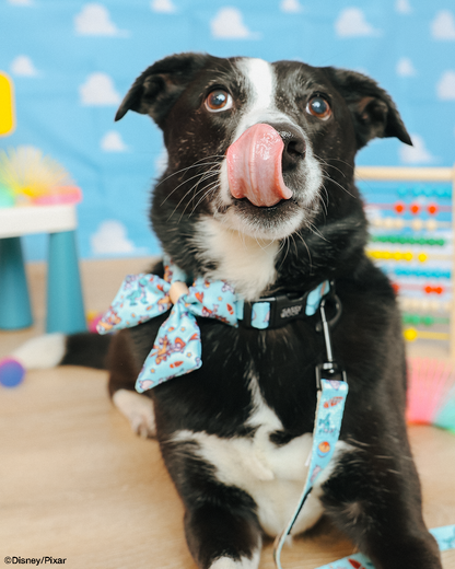 Dog Sailor Bow - Disney and Pixar's Toy Story