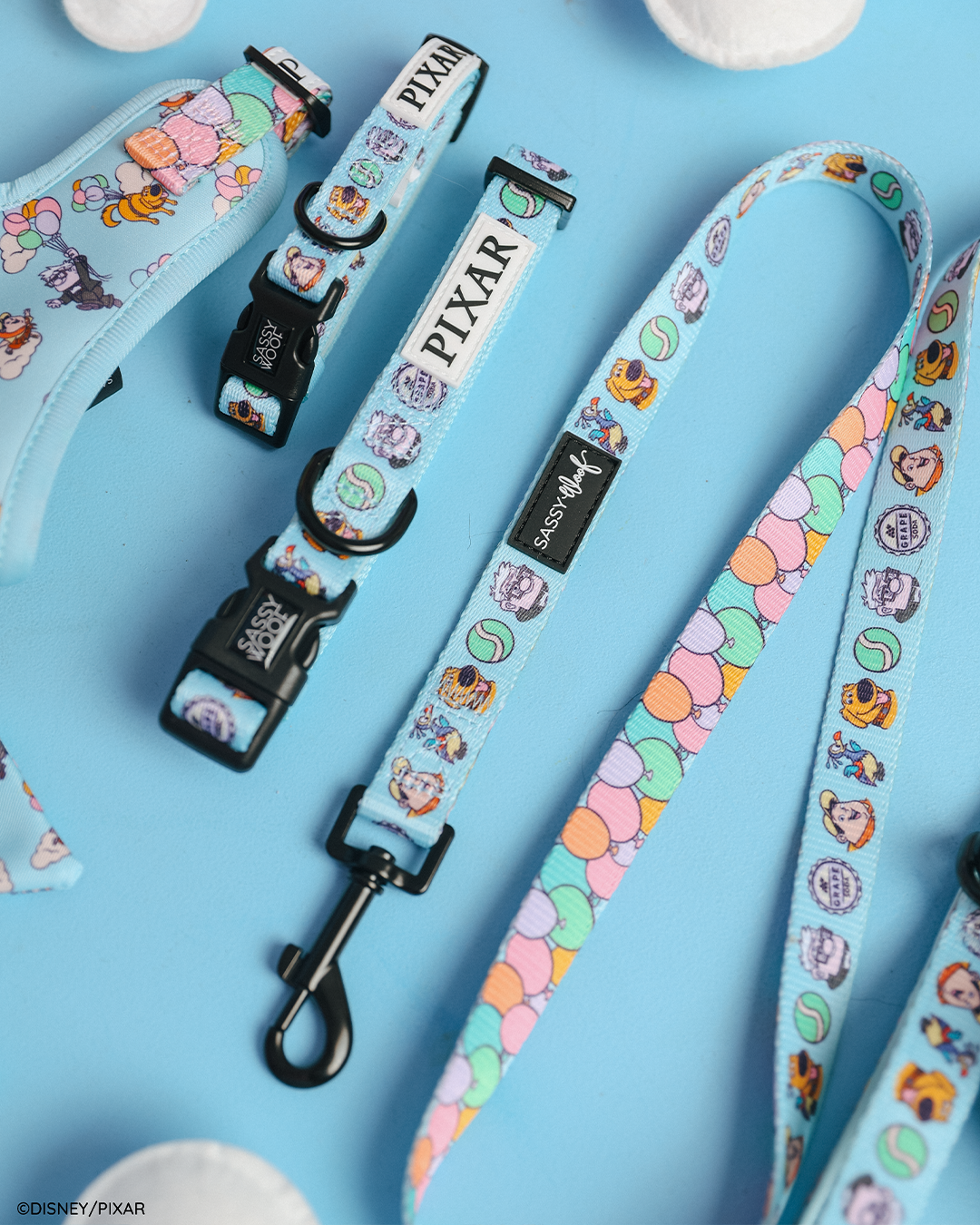 Dog Collar - Disney and Pixar's Up