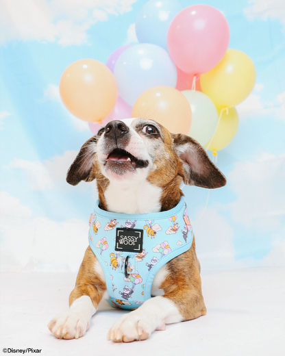 Dog Adjustable Harness - Disney and Pixar's Up