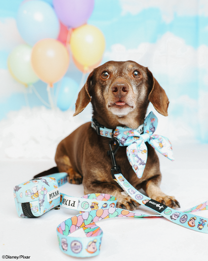 Dog Collar Three Piece Bundle - Disney and Pixar's Up