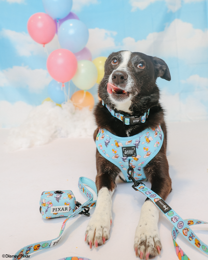Dog Collar - Disney and Pixar's Up