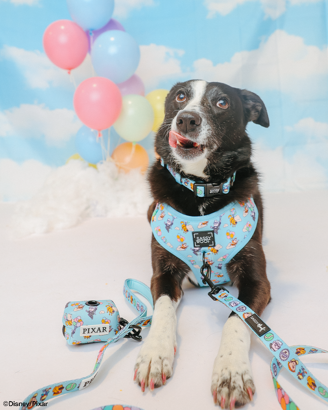 Dog Leash - Disney and Pixar's Up