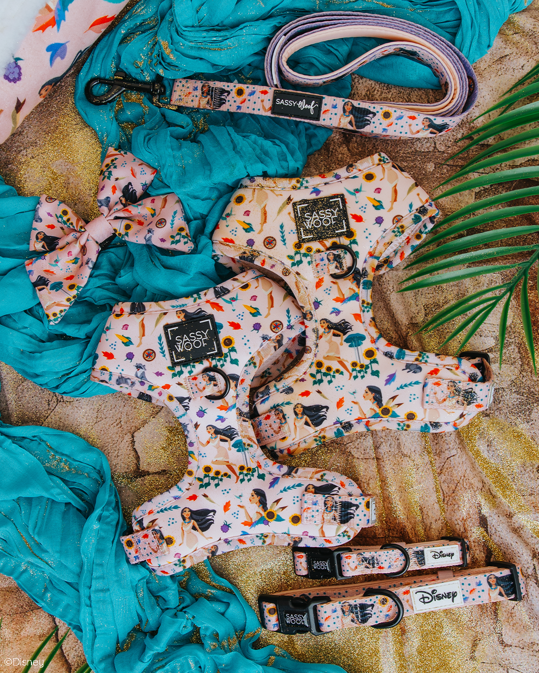 Harness Three Piece Bundle - Disney's Pocahontas