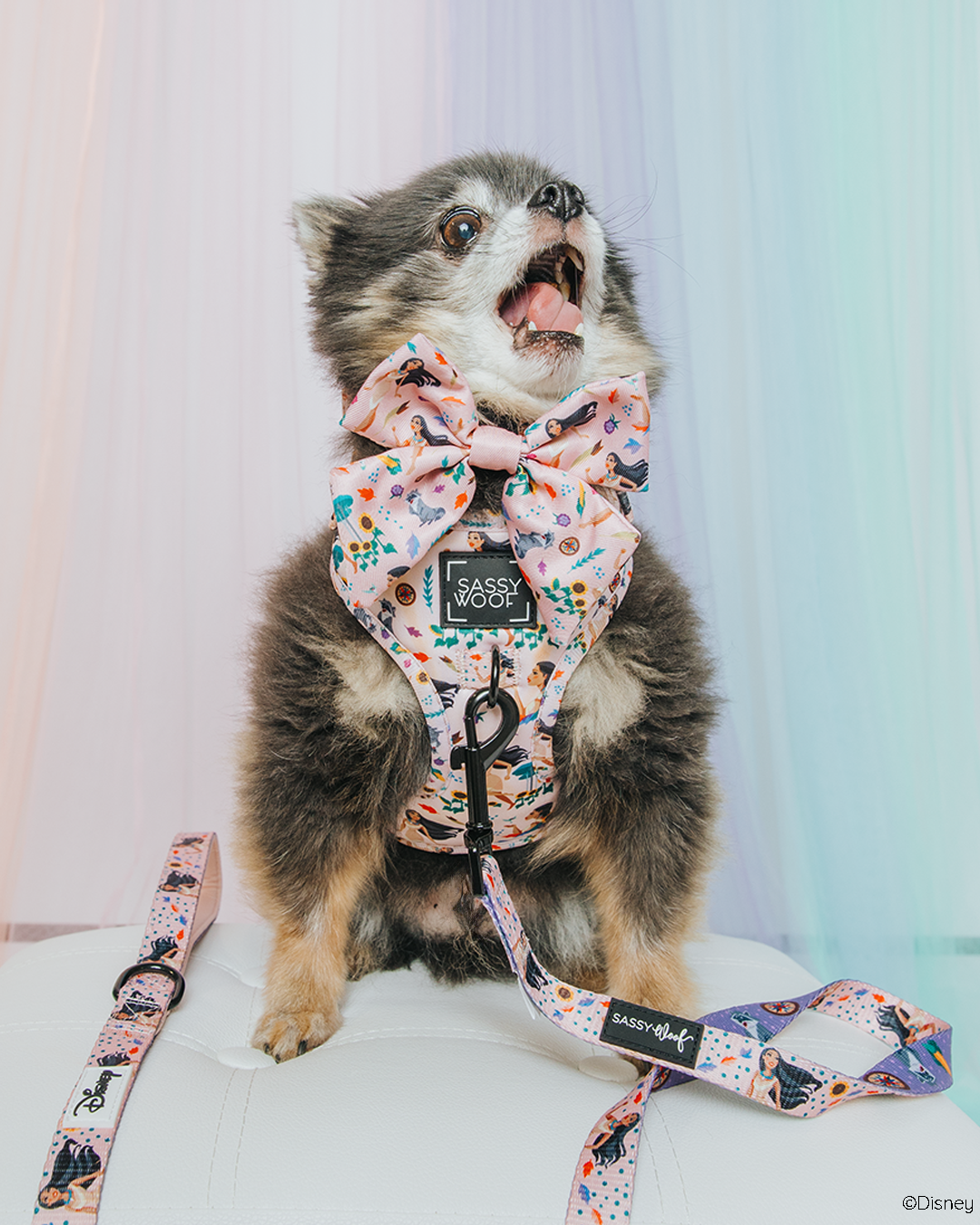 Dog Two Piece Bundle - Disney's Pocahontas