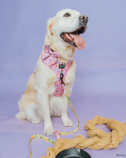 Dog Leash - Disney's Rapunzel