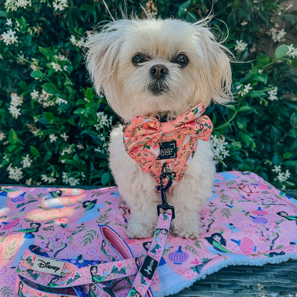 Dog Sailor Bow - Disney's Mulan